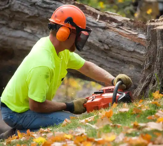 tree services Carlisle